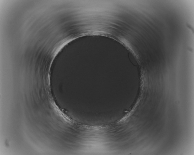 X0000099380932200805221802