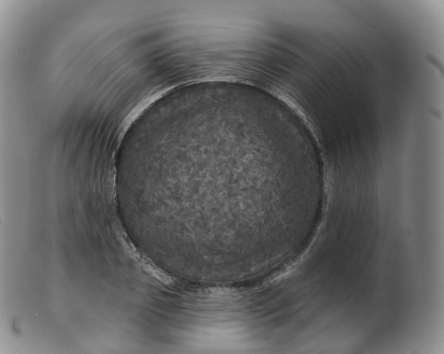 X0000099380933200805221802