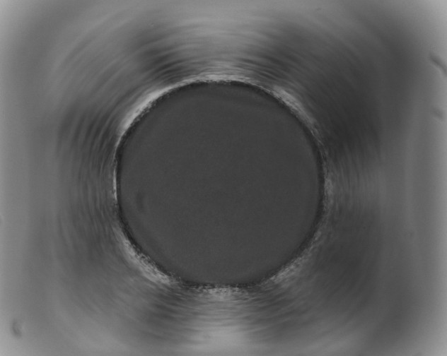 X0000099380934200805221802