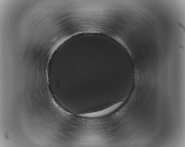 X0000099380935200805221802