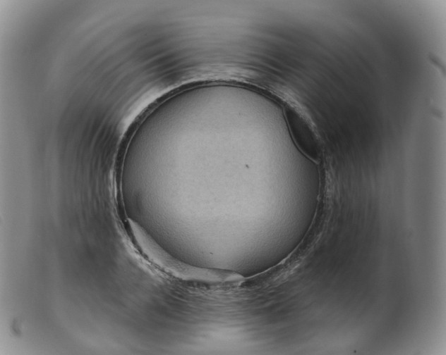 X0000099380936200805221802