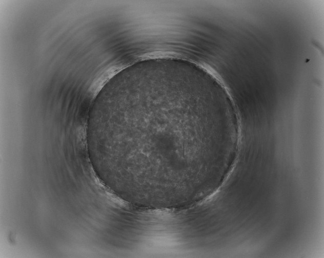 X0000099380937200805221802