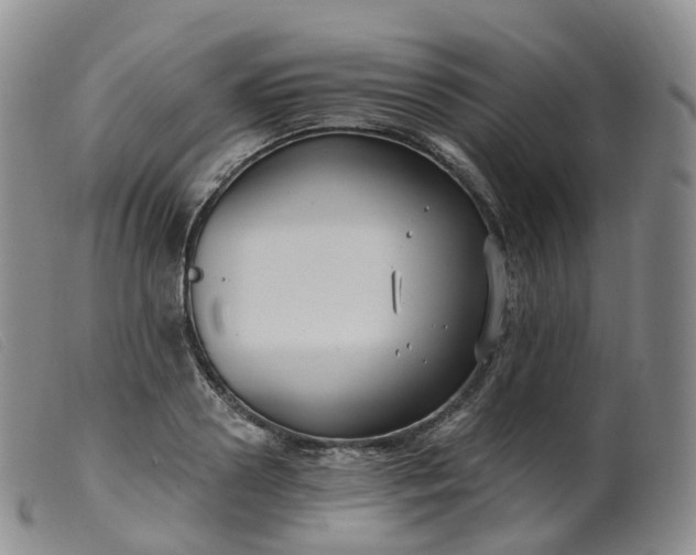 X0000099380938200805221802