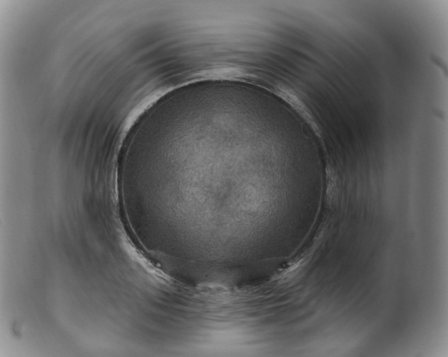 X0000099380939200805221802