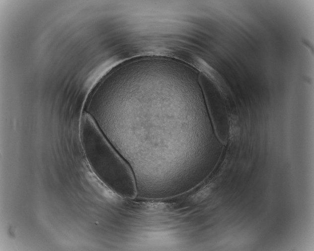 X0000099380940200805221802