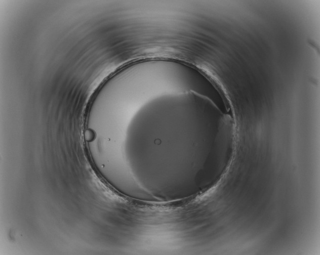 X0000099380941200805221802