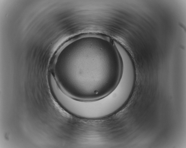 X0000099380942200805221802