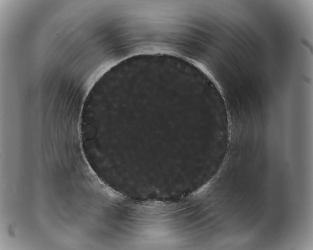 X0000099380943200805221802