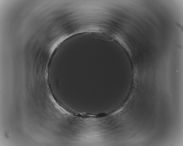 X0000099380944200805221802