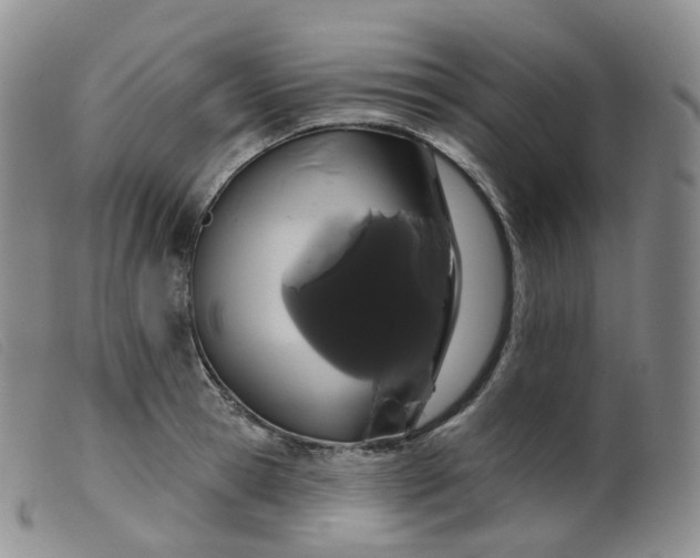 X0000099380945200805221802