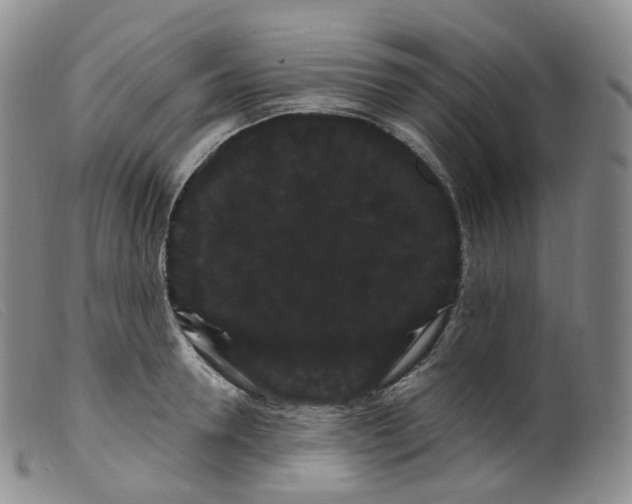 X0000099380946200805221802