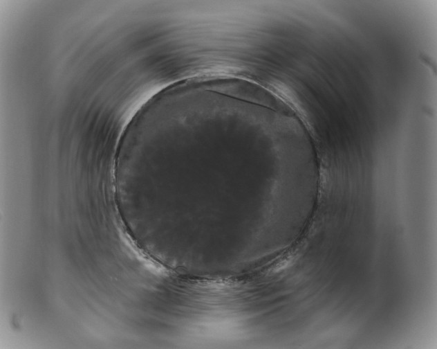 X0000099380948200805221802