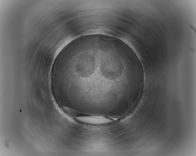 X0000099380949200805221802