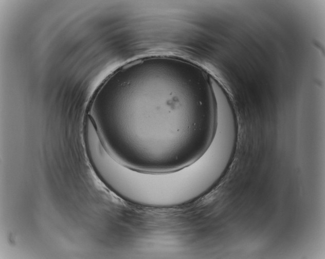 X0000099380950200805221802