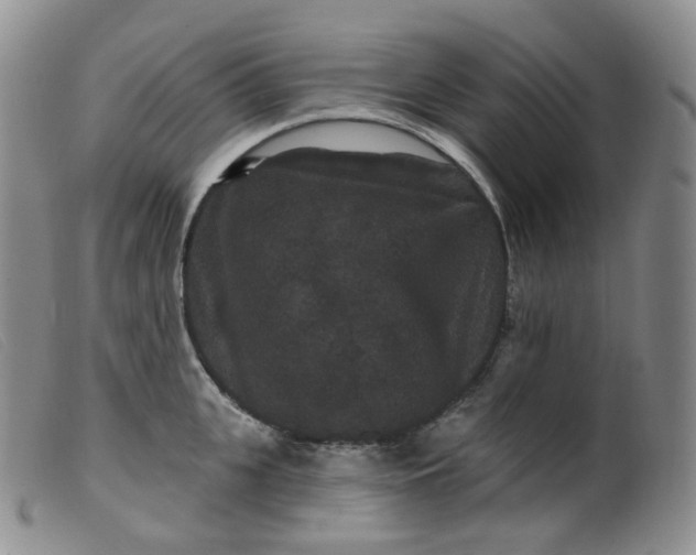 X0000099380951200805221802