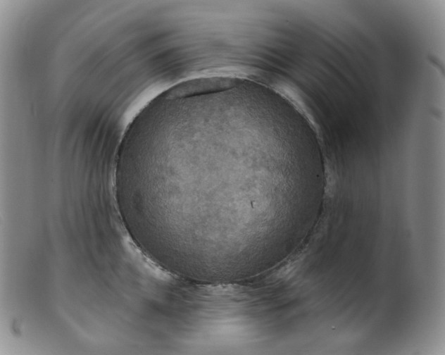 X0000099380952200805221802