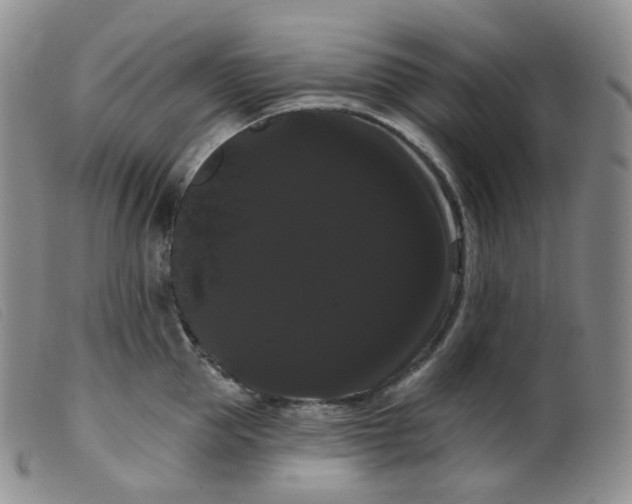 X0000099380953200805221802