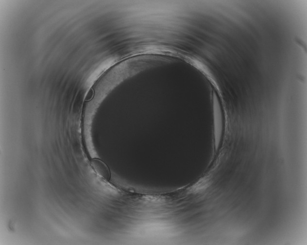 X0000099380954200805221802