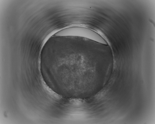 X0000099380955200805221802