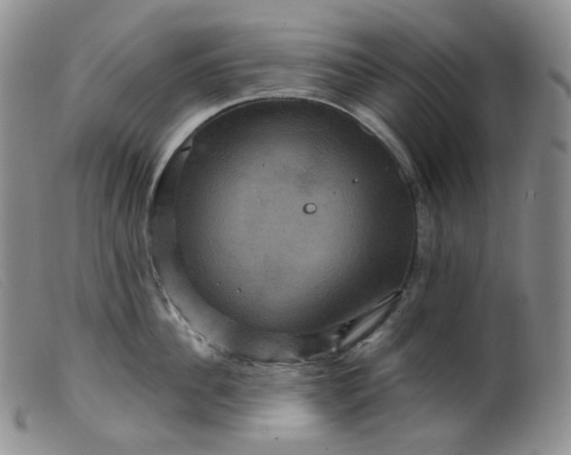 X0000099380956200805221802