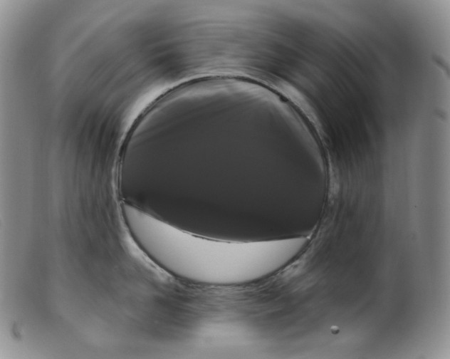 X0000099380958200805221802