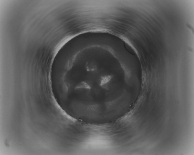 X0000099380959200805221802