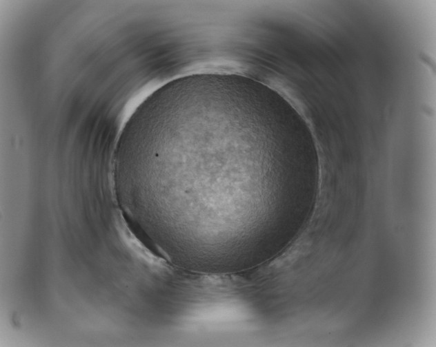 X0000099380960200805221802