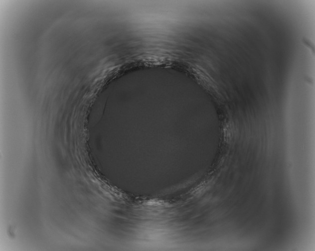 X0000099380961200805221802