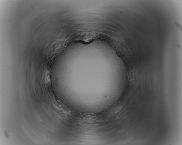 X0000099380962200805221802