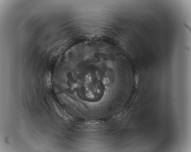 X0000099380963200805221802