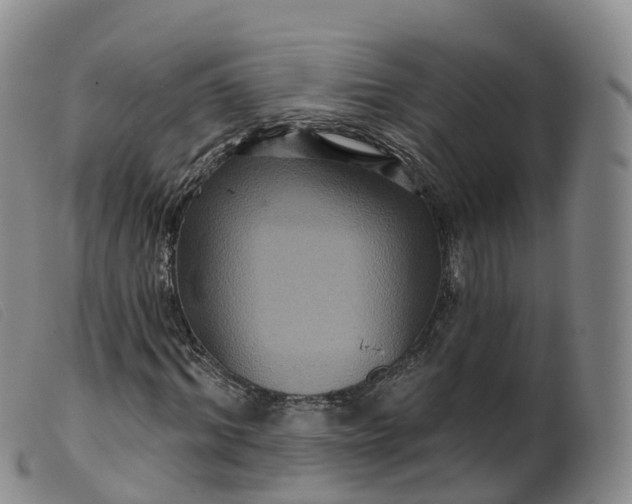 X0000099380964200805221802