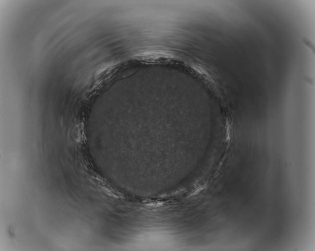 X0000099380965200805221802