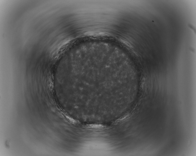 X0000099380966200805221802