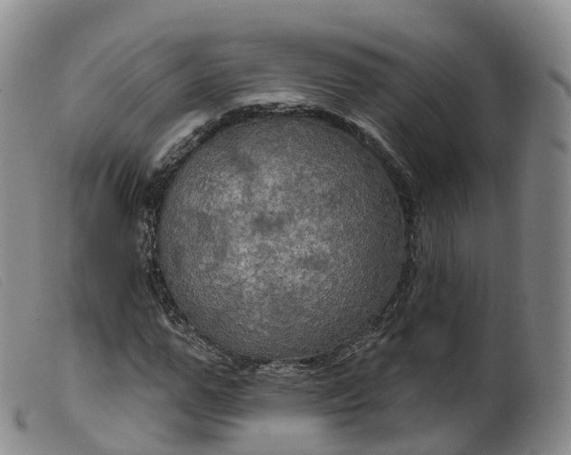 X0000099380967200805221802