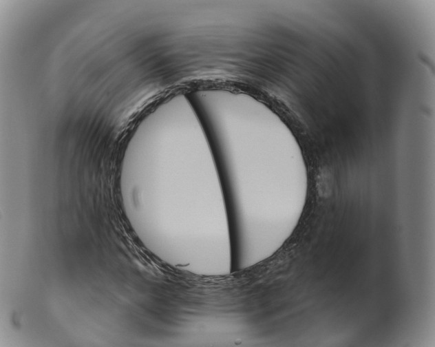 X0000099380968200805221802