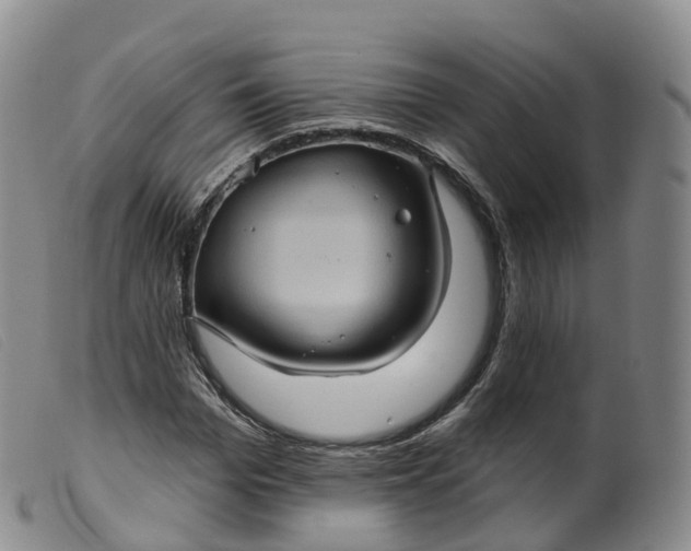 X0000099380969200805221802