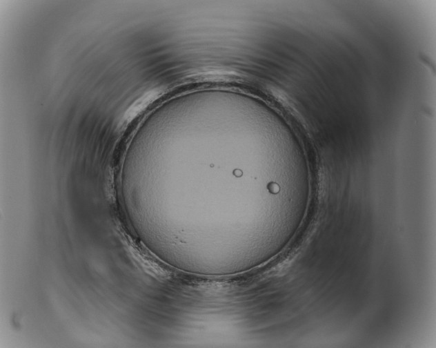 X0000099380970200805221802