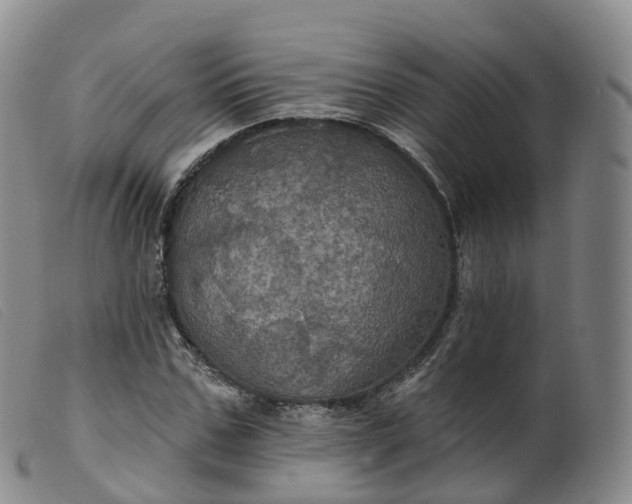 X0000099380971200805221802