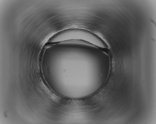 X0000099380972200805221802