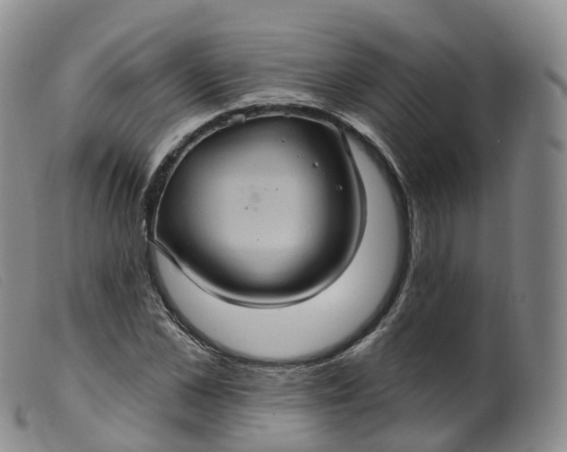 X0000099380973200805221801