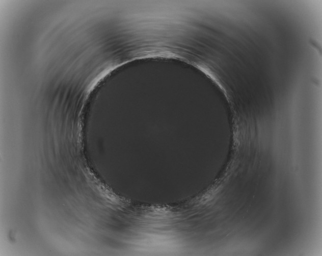 X0000099380975200805221801