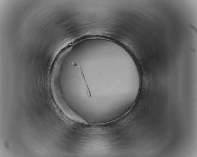 X0000099380976200805221801