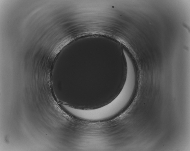 X0000099380977200805221801