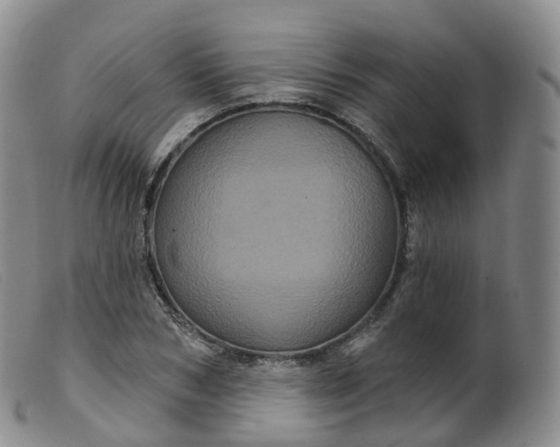 X0000099380978200805221801