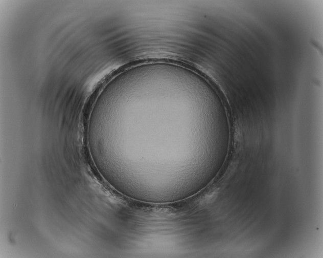 X0000099380979200805221801