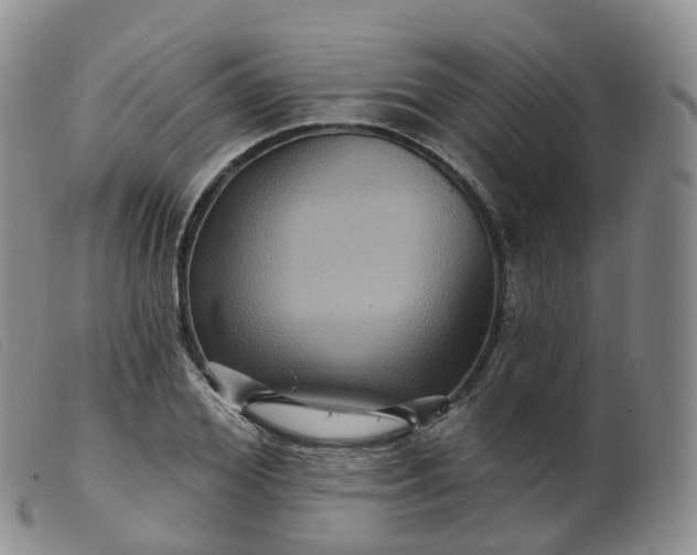 X0000099380980200805221801