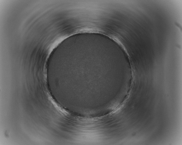 X0000099380981200805221801