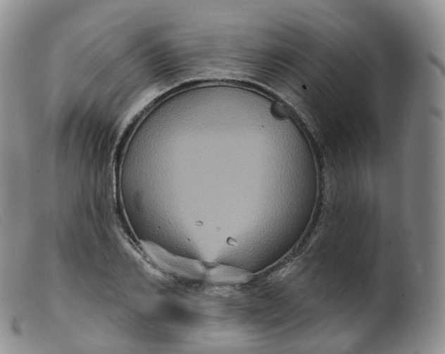 X0000099380982200805221801