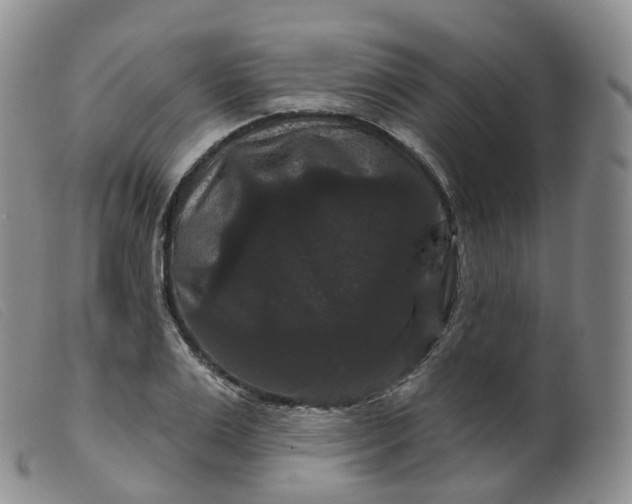 X0000099380983200805221801