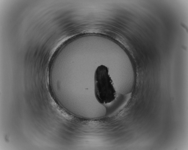 X0000099380984200805221801